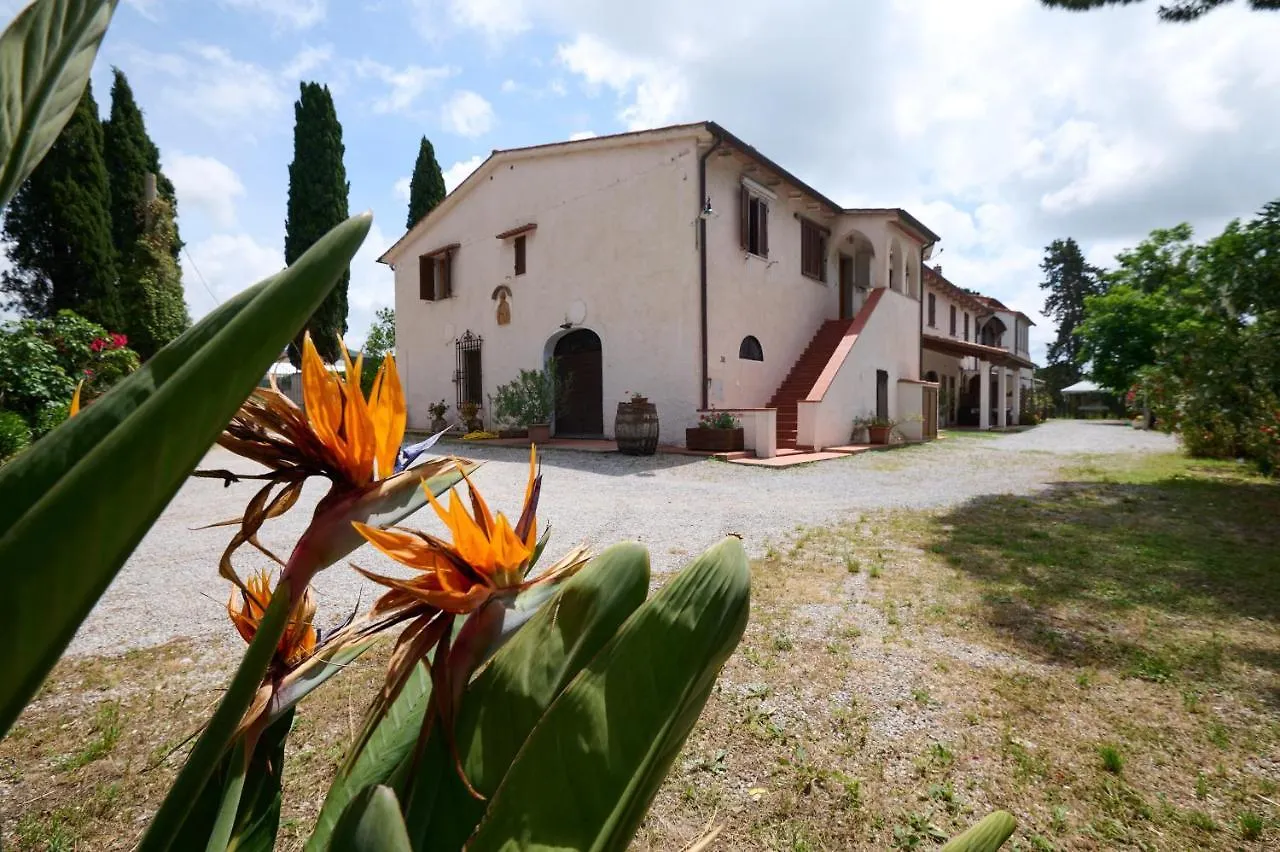 Vila Antichi Palmenti - Corbezzolo San Vincenzo Farma