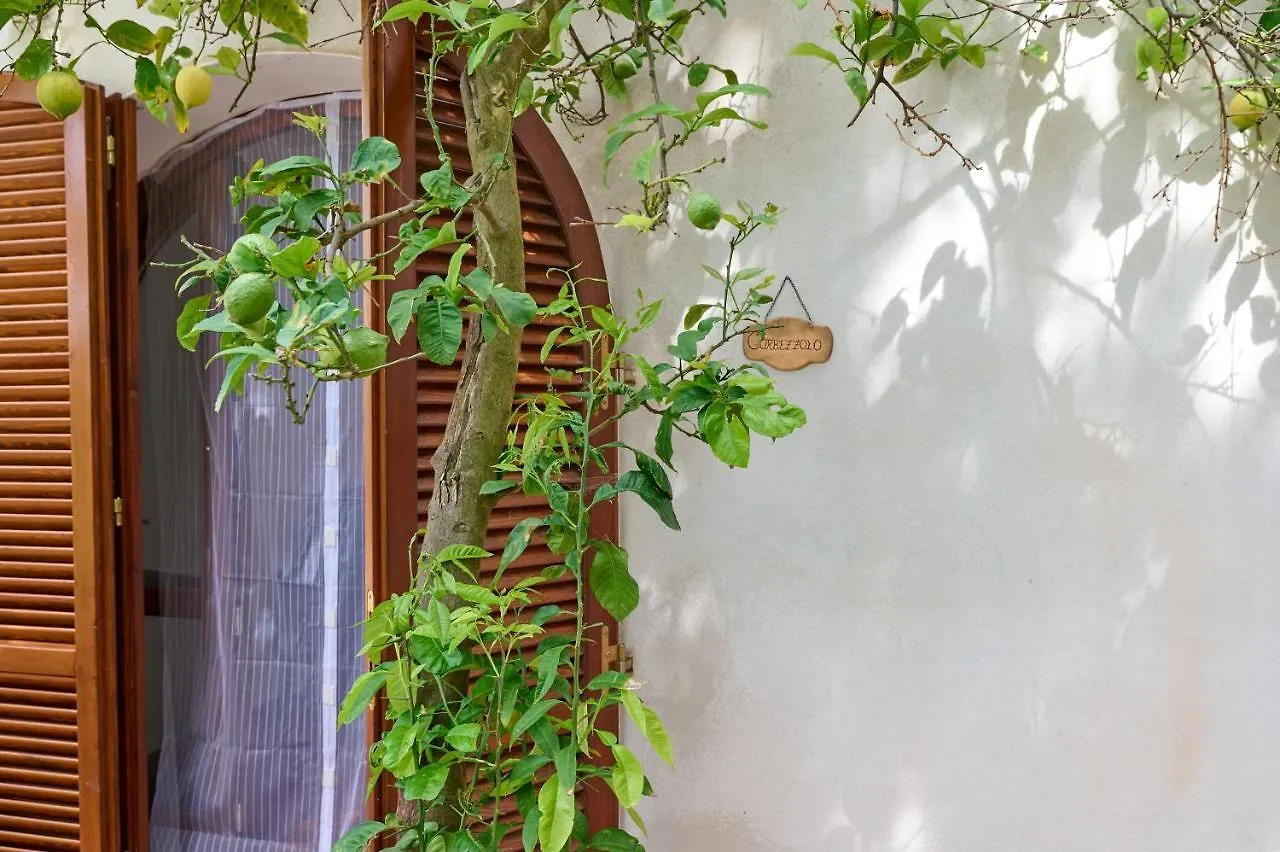 Antichi Palmenti - Corbezzolo Villa San Vincenzo Farm stay